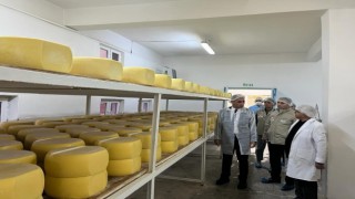 Karsta süt işletmeleri denetlendi