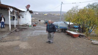 Karsta torunlarının tedavisini karşıladıkları inekler çalındı