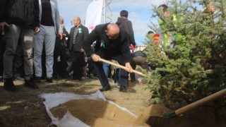 Kastamonuda 25 bin fidan toprakla buluşturuldu