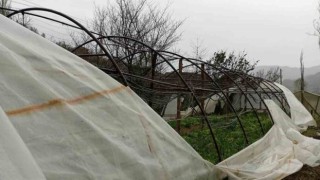 Kastamonuda fırtına seraları vurdu