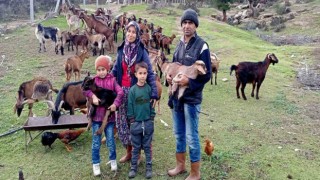 “Kavşit Köyü ve Yöresi Keçicilik Projesi” devam ediyor