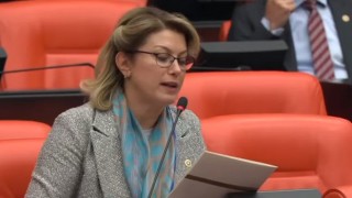 Kaya, Depremzede Köylülerin Sorunlarını Aktardı