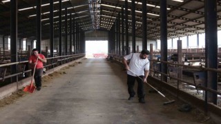 Kendi kendine yeten çiftlik kurdular, ucuz etin formülünü buldular