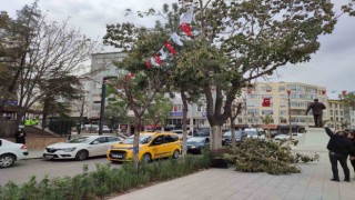 Keşanda şiddetli rüzgar nedeniyle ağaçların dalları kırıldı