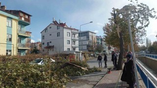 Konyada şiddetli fırtınada kırılan ağaç park halindeki otomobile zarar verdi