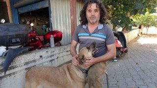 Köpeği de insanlığı da uyutmadı, yanından ayırmayıp gözü gibi bakıyor