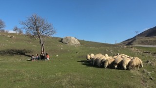 Köyün tek öğretmeni, 5 öğrencisini geleceğe hazırlıyor