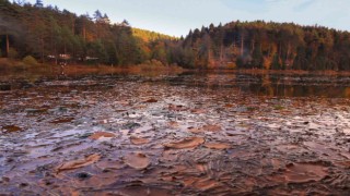 Küçükelmalı Tabiat Parkında görsel şölen