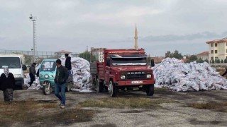 Kuluda kömür dağıtımı başladı