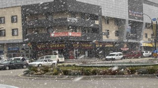 Kuluya mevsimin ilk karı