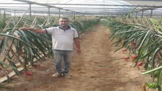 Küresel ısınma Aydında fırsata dönüşüyor