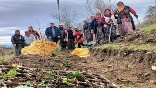 Kütahyada gıda ormanı çalışması