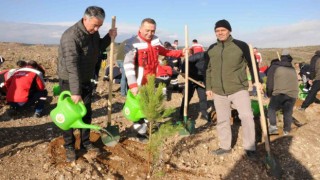 Kütahyada maden sahasına 6 bin fidan dikildi