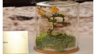 Kütahyanın İğne Oyası tescillendi