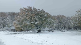 Lapsekide Dumanlı Dağına mevsimin ilk karı yağdı