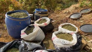 Licede terörün finans kaynağına darbe: 1 ton 168 kilo esrar ele geçirildi