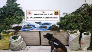 Mardinde manav dükkanında uyuşturucu satan şüpheli tutuklandı