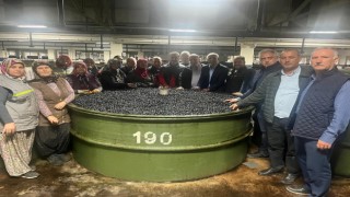 Marmarabirlikten ortaklarına 137 milyon liralık ödeme