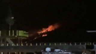 Marmariste orman yangını
