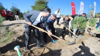 Mehmetçik Hatıra Ormanında binlerce fidan toprakla buluştu