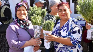 Mersin Büyükşehir Belediyesi, Silifkeli üreticilere lavanta fidesi dağıttı