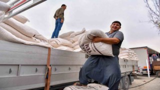 Mersinde büyükbaş hayvancılıkla uğraşan çiftçilere mısır flake yem desteği