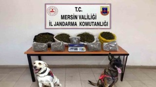 Mersinde uyuşturucu ticareti yapan 4 şüpheli yakalandı
