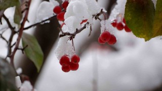 Meteorolojiden fırtına uyarısı