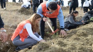 Milli Ağaçlandırma Gününde 20 Bin 600 Fidan Toprakla Buluştu