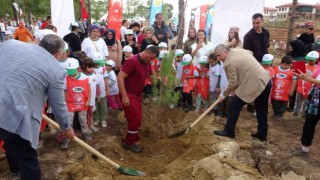 ‘Milli Ağaçlandırma Gününde Manavgat yangın bölgesinde ağaç dikimi yapıldı
