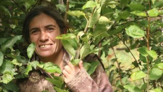 MİT, PKK/KCK Hakurk Toplumsal Alan sözde sorumlularından Tekoşin Cizre kod Arslanı etkisiz hale getirdi