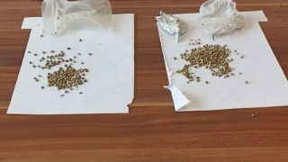 Molotofcu DGH üyesi uyuşturucuyla yakalandı