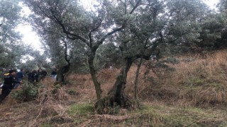 Nevrigülün ölümündeki sır perdesi aralandı