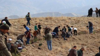 Erzurum Oltu'da fidan dikimi etkinliği