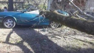 Orduda fırtına hayatı olumsuz etkiledi