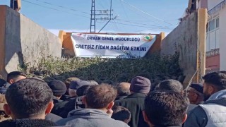 Özalpte 10 bin ceviz ve badem fidesi dağıtıldı