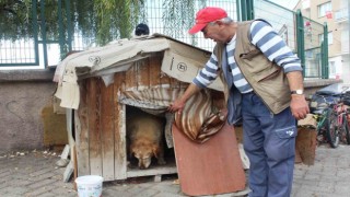 (ÖZEL) 22 senedir beslediği kedilerin ve köpeği Tombikin mamasını eksik etmiyor