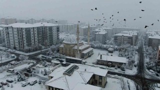 Palandökene karla gelen güzellik