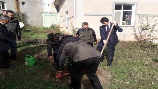 Pazaryerinde fidanlar toprakla buluştu