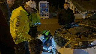 Polisin dikkati kediyi ölümden kurtardı