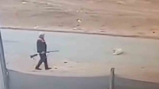 Sahipsiz köpeği av tüfeğiyle öldürdü