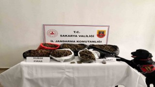 Sakarya Jandarmanın uyuşturucu ile mücadele raporu: 380 tutuklama