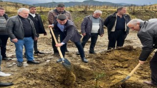 Salihlide Başbuğ Türkeş anısına 106 zeytin fidanı dikildi