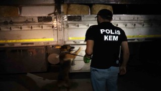 Saman çuvallarının arasında uyuşturucu sevkiyatı polise takıldı
