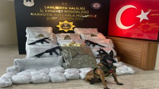 Şanlıurfada 170 kilo 700 gram skunk ele geçirildi