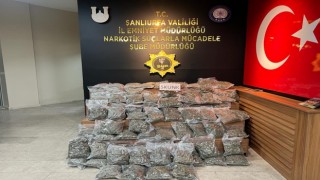 Şanlıurfada 46 kilo 500 gram skunk ele geçirildi