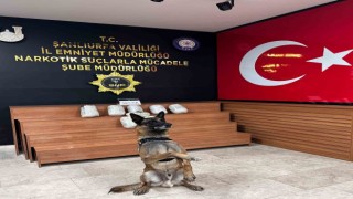 Şanlıurfada 9 kilo skunk ele geçirildi