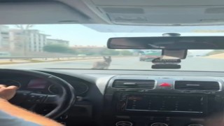 Şanlıurfada inatçı eşek trafiği birbirine kattı