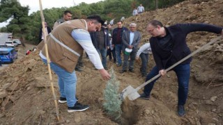 Sarıgölde fidanlar yanan ormanlık alana dikildi