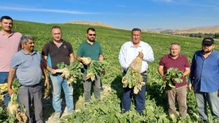 Şekerpancarı ve patates üreticileri, ürün tesliminde sorunlar yaşıyor